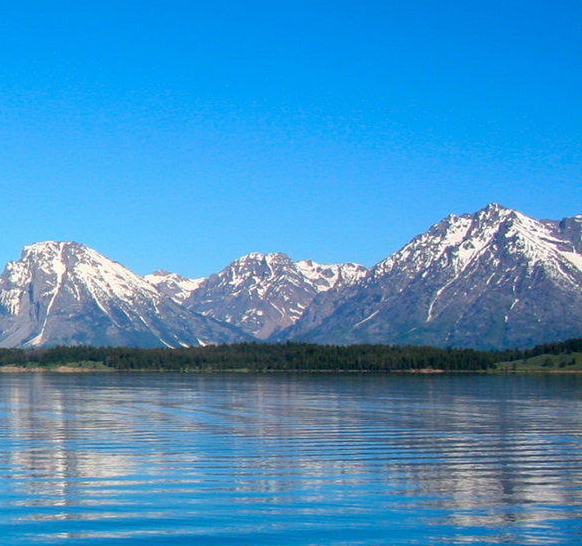 怎样承包洗衣项目赚钱