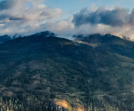 专利法案例分析