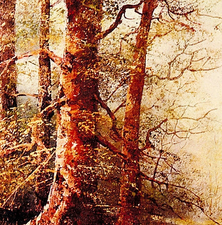 深圳什么小项目好卖呢赚钱