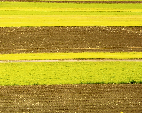 餐饮老板辛苦赚钱感悟心得