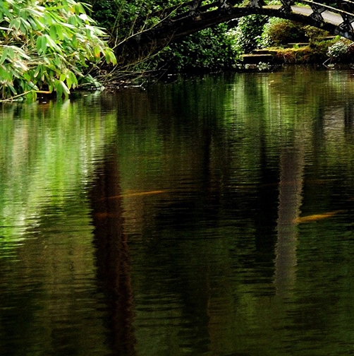 关于专利权的案例