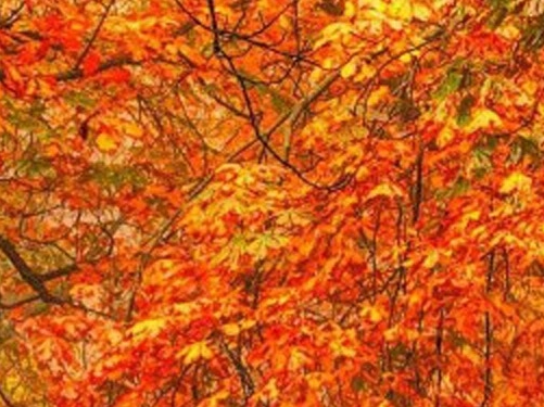 赚钱的目的就是为了有些钱不用去赚