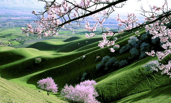 国外学生赚钱方法视频大全