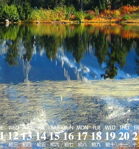 公司赚的钱如何给股民