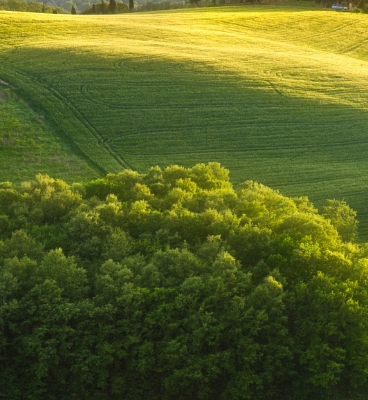 二零二二北京冬奥会有哪些项目