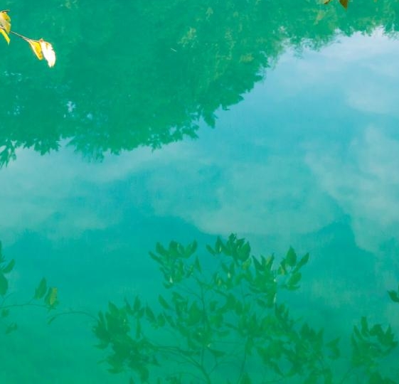 门面房干什么挣钱