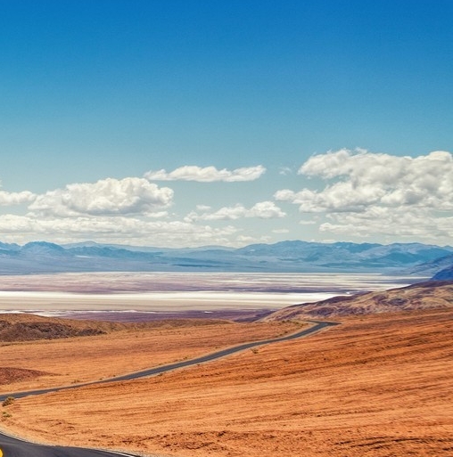 怎么卖菜才能赚钱