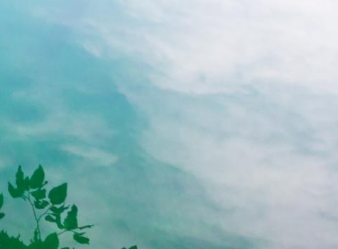 武安赚钱好项目公司在哪