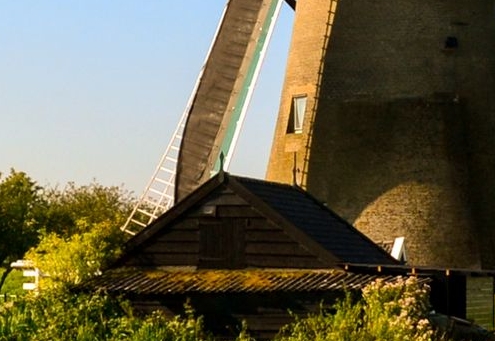 调查内容与项目怎么写