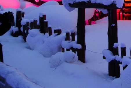 发财致富好项目