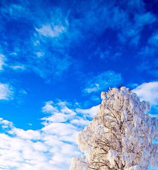 二零二二年赚钱项目