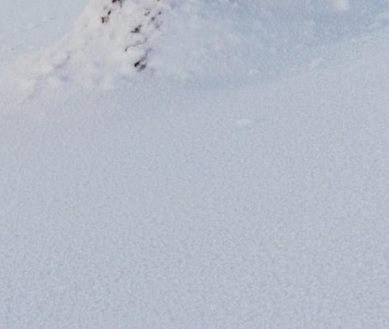 模拟开车考驾照的软件游戏