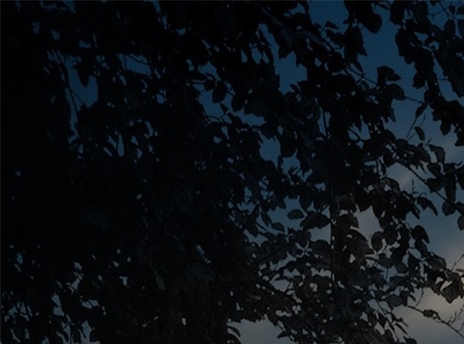 荒野大镖赚钱方法最新