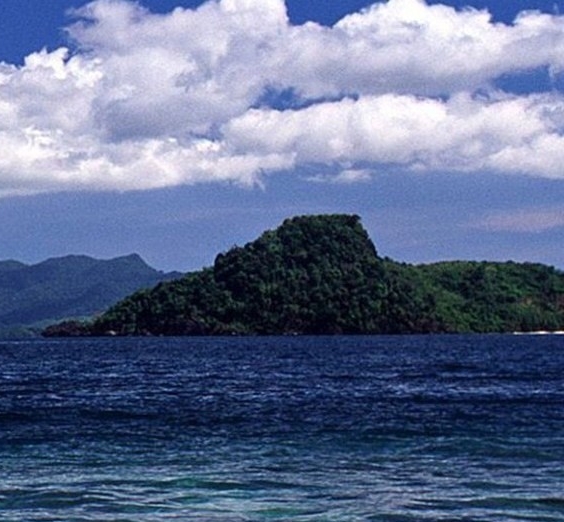 投资小的致富好项目