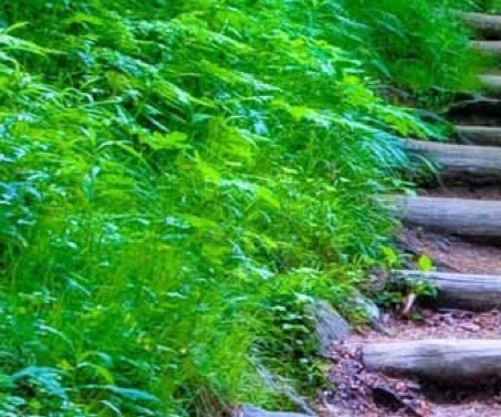 养猪赚钱心得怎么写好