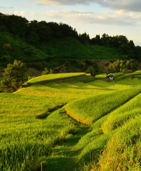 无法离家赚钱的方法