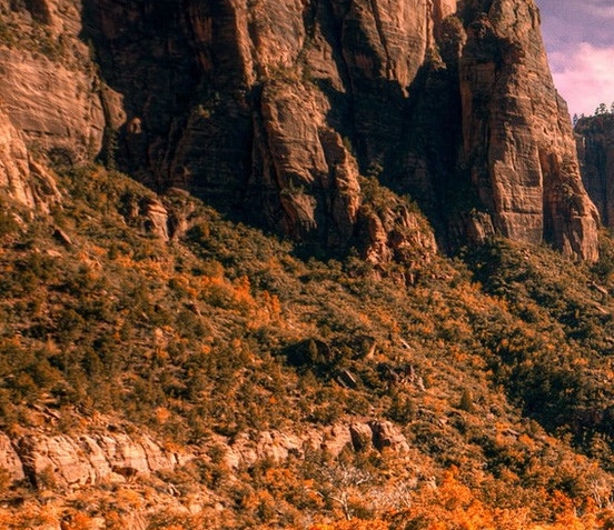 抖音优缺点分析案例