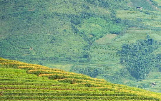 爱豆回归赚钱方法