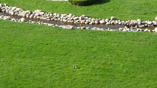 网上最靠谱的赚钱方法