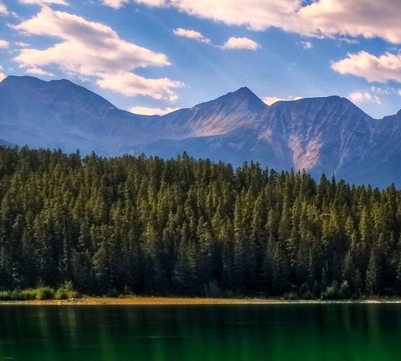 最新免费送的赚钱案例