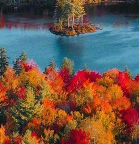 个人创业加盟什么项目赚钱