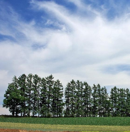 写车评怎么赚钱在哪里找