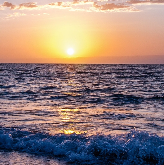 我国人造子宫真实成功案例