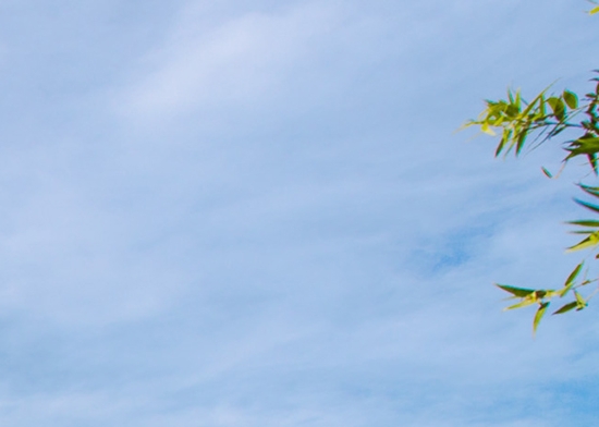 学编曲赚钱培训心得体会