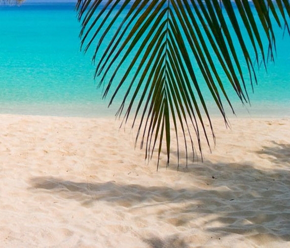 美妆导购挣钱吗