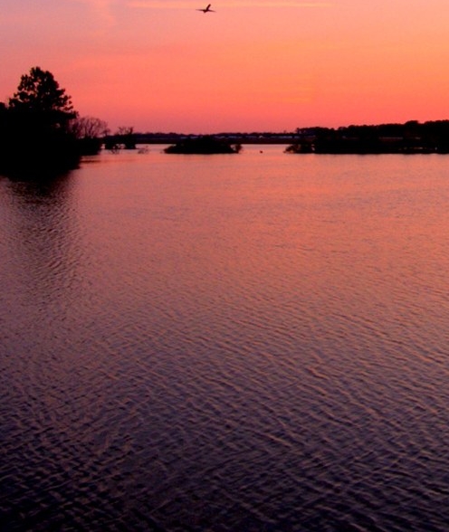 政府从房地产赚多少钱