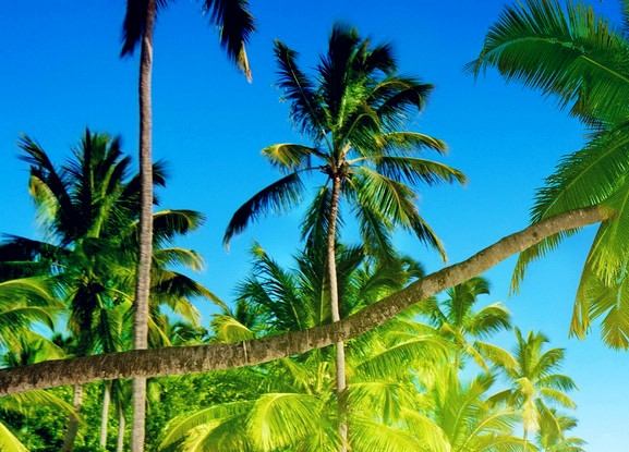 我国出口哪些赚钱项目好