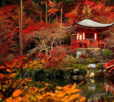 画壁纸赚钱方法视频下载