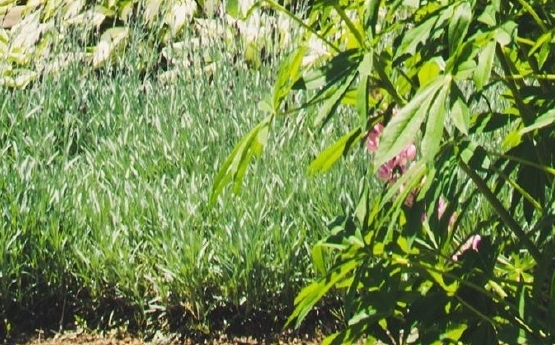 赚钱的不容易心得体会