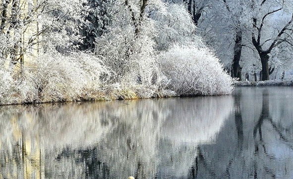 自媒体创业成功案例范文大全