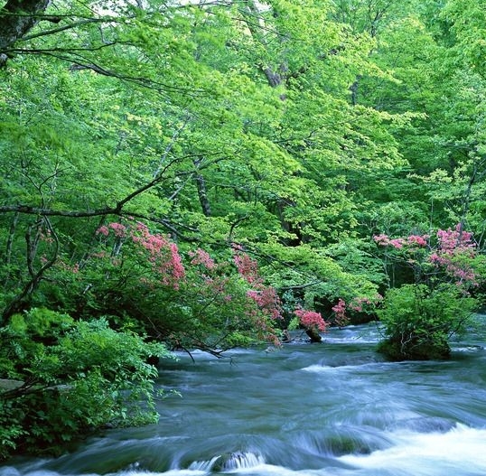 剑与家园L币怎么用