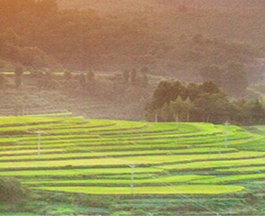 玩游戏处理器哪个好