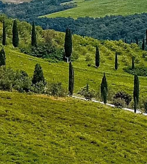 加盟快运公司哪家好