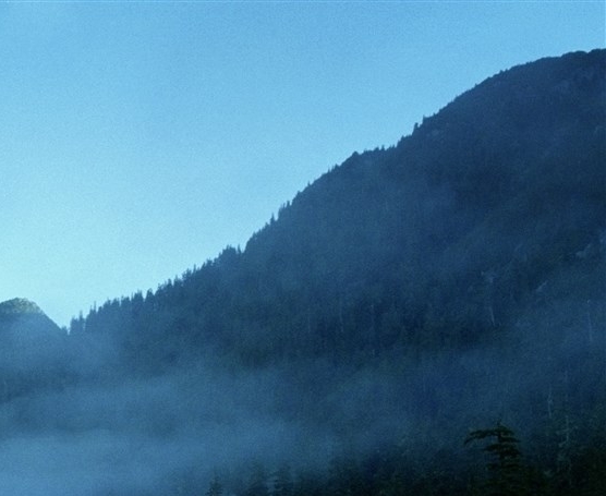 怎样养猪才能赚钱