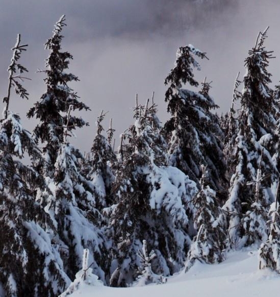 自制饭卡赚钱方法视频大全
