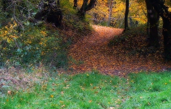 厦门股神赚钱案例