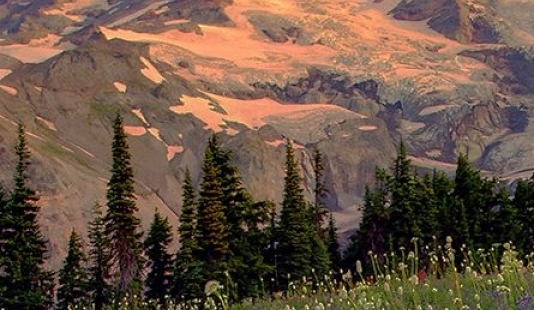 捡垃圾实践活动感想