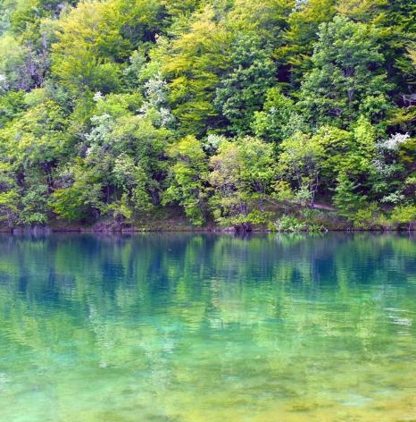 身边的赚钱案例分享大全