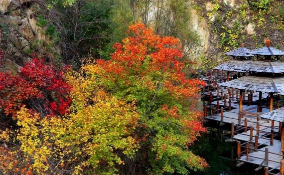 现在创业什么项目赚钱