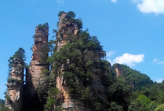 教师假期总结与反思