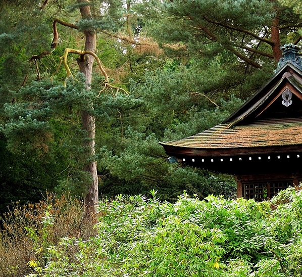 玩直播怎么赚钱