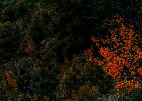 逆向思维赚钱案例