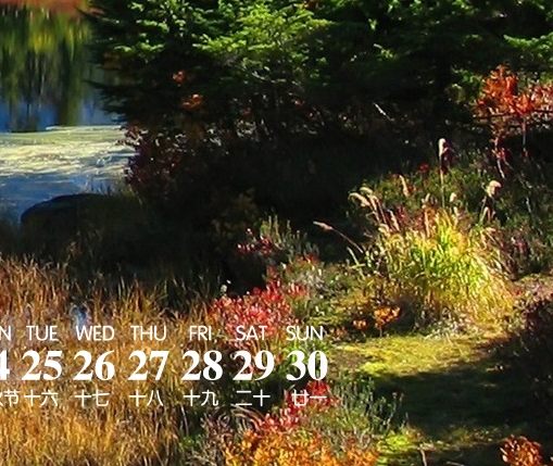 模拟开车软件哪个好