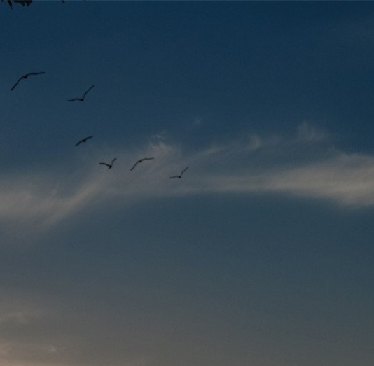 在家能有什么挣钱项目