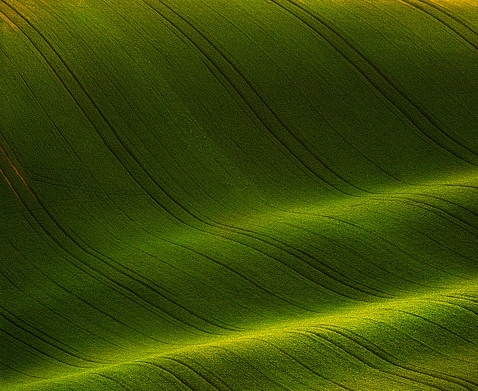 出口什么东西赚钱