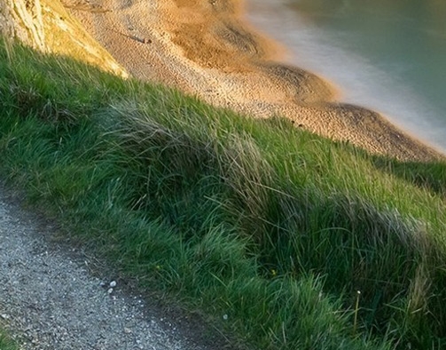 取名这个项目怎么赚钱的